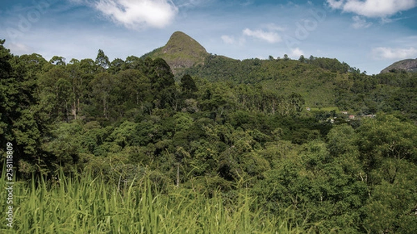 Obraz landscape with trees and mountains