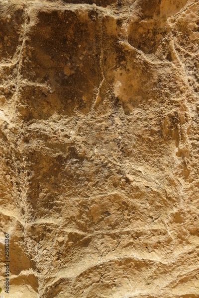 Fototapeta ピナクルス・岩石の表面クローズアップ（西オーストラリア）