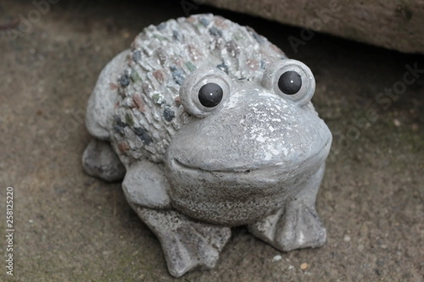 Obraz Frosch