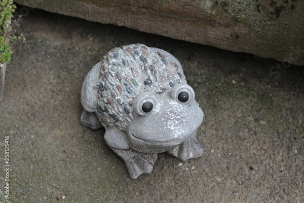 Obraz Frosch