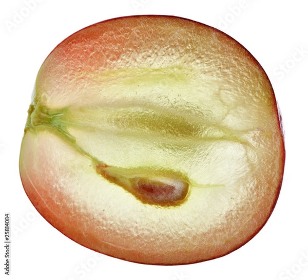 Fototapeta Translucent slice of red grape fruit, macro isolated on white