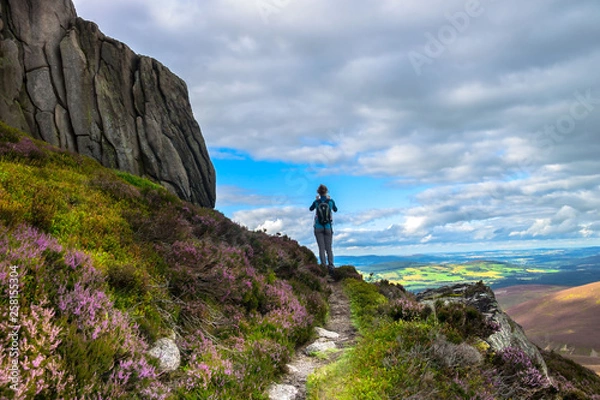 Obraz Tourist walking in Cairngorms National Park. Route to Clachnaben, Glen Dye, Aberdeenshire, Scotland, UK