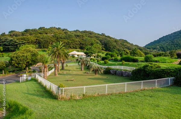 Obraz 伊豆アニマルキングダムのドッグラン