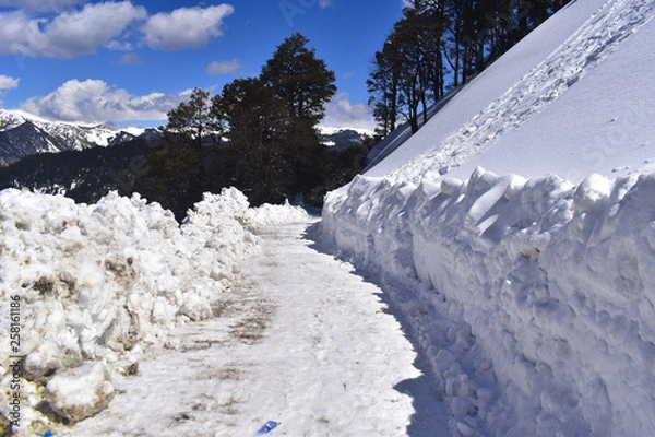Fototapeta Jalori Pass  in  winter session  . This pas situated in Kullu district  of himachal pradesh  . This pass  used to connect kullu from shimla . 