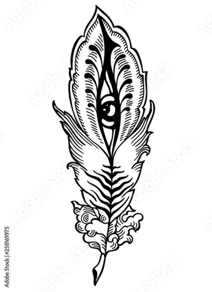 Fototapeta bizarre feather with eyes, vector illustration