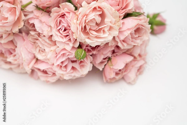 Fototapeta Pink rose flat lay floral background on white with copy space