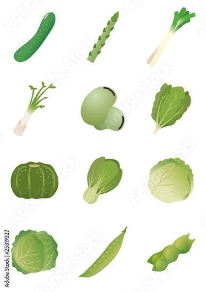 Fototapeta 食材　野菜イラスト