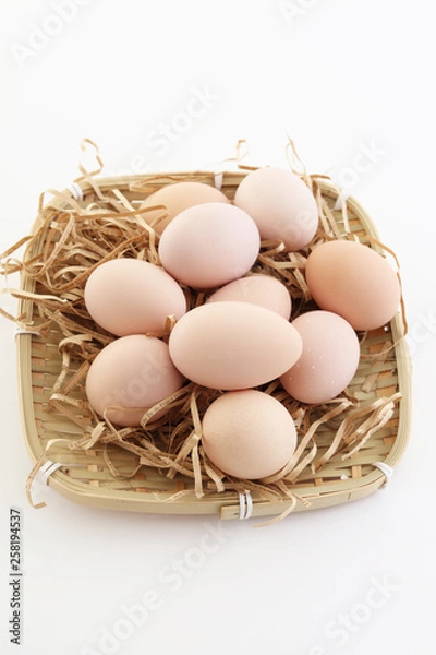 Obraz 新鮮な卵
