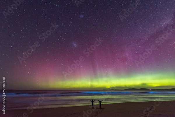 Fototapeta Two people in silhouette standing in awe of an incredible display of the Aurora Australis or Southern Lights, with bioluminescence turning the breaking waves bright blue.