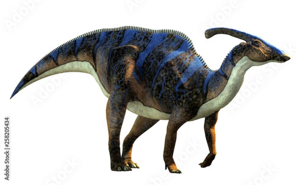 Fototapeta Parasaurolof, rodzaj roślinożernego dinozaura ornithopod z rodziny hadrosaurów w profilu na białym tle. Ten jest brązowy z niebieskimi paskami. Renderowanie 3D.