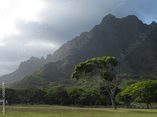 Obraz Hawaiian landscape