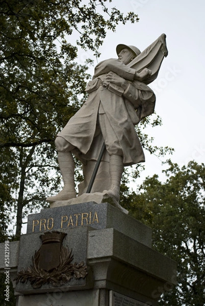 Obraz Statue combatant