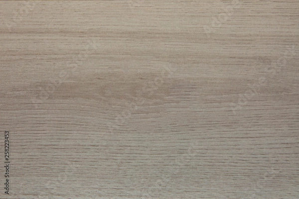 Obraz Old wood texture for background