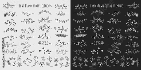 Obraz Hand Drawn Floral Elements