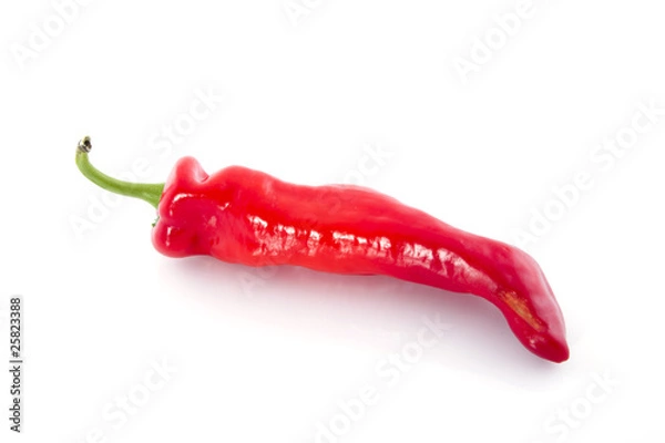 Obraz Red sweet pepper