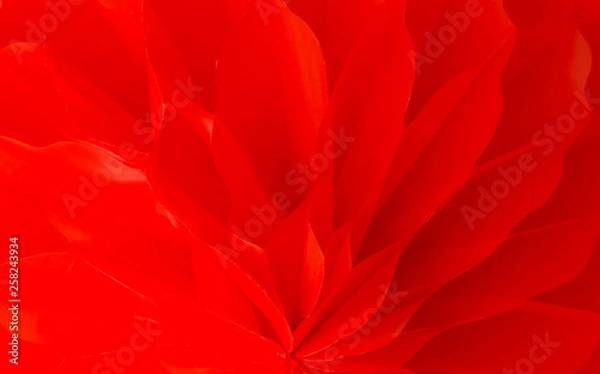 Fototapeta Close up abstract image of beautiful red flower petals arranged in layers background.