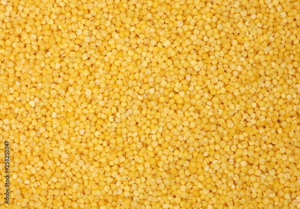 Obraz Millet yellow background