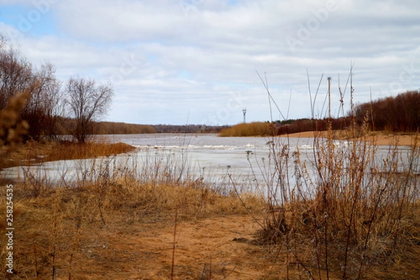 Fototapeta Spring landscape with river, yellow grass on the shore, trees without leaves and blue sky with white clouds in the background