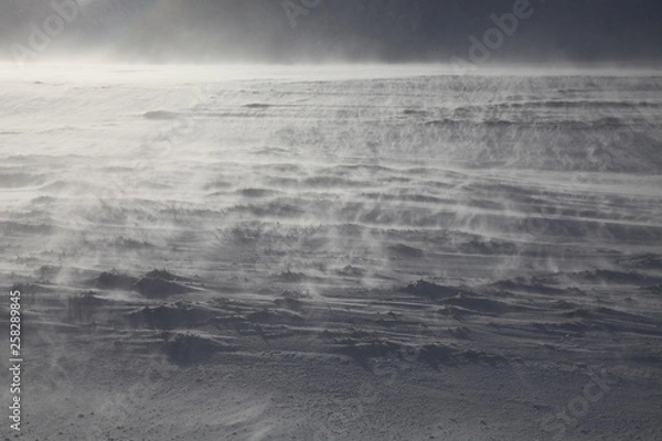 Obraz Perdu dans la tourmente