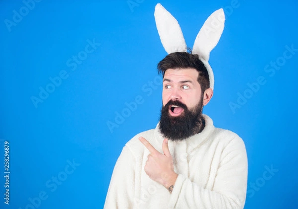 Obraz Look at that. Hipster dressed for Easter party presenting product. Bearded man in Easter rabbit costume. Man wearing long rabbit ears. Easter bunny is symbol of fertility and spring, copy space