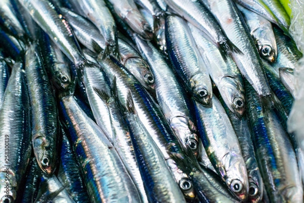 Obraz sale of anchovy in the port