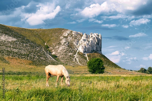 Obraz mountain cliff horse