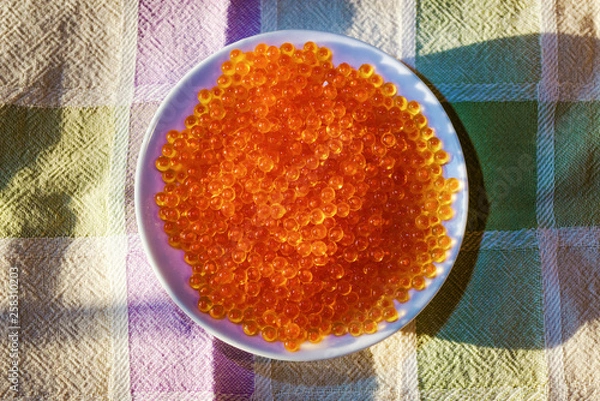 Obraz Brown trout's eggs