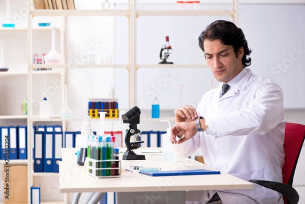 Fototapeta Young handsome chemist working in the lab