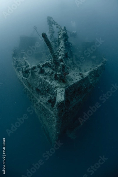 Obraz Bow of the Rosalie Moller