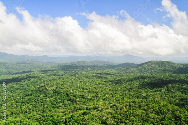 Fototapeta Pristine primary forest dominates the landscape in this aerial shot of the Cockscomb Basin, Belize.