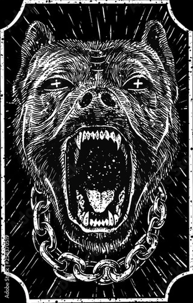 Fototapeta Vicious pitbull
