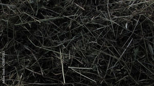 Fototapeta abstract hay background