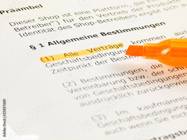 Obraz Vertragsklauseln prüfen