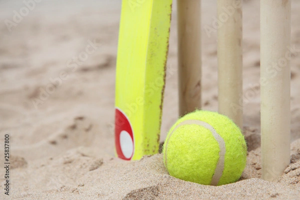 Fototapeta Beach cricket