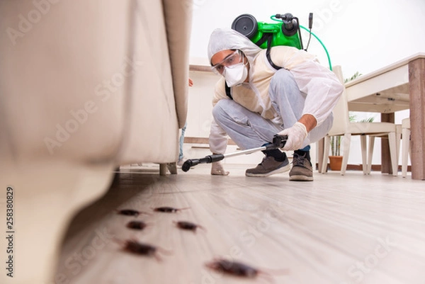 Obraz Pest control contractor working in the flat