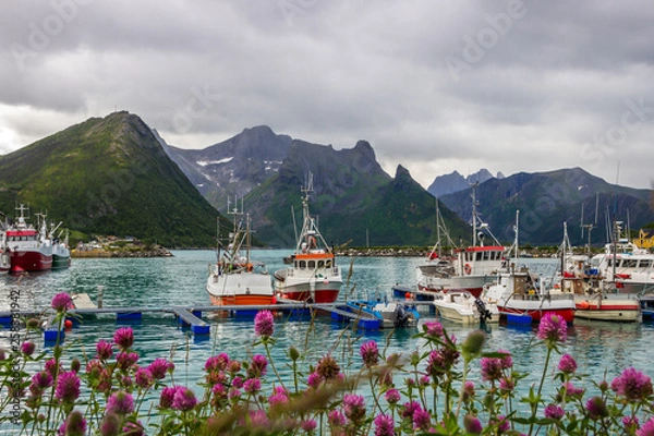 Fototapeta Husoy harbor near Senja island in Norway