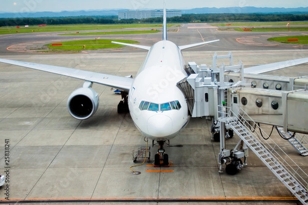 Obraz 空港の航空機