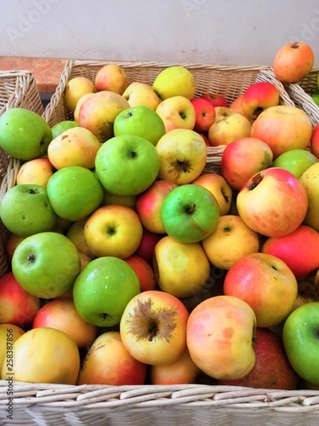 Obraz Multicolor apples
