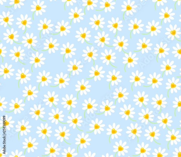 Obraz floral seamless pattern white daisy flower on blue background vector