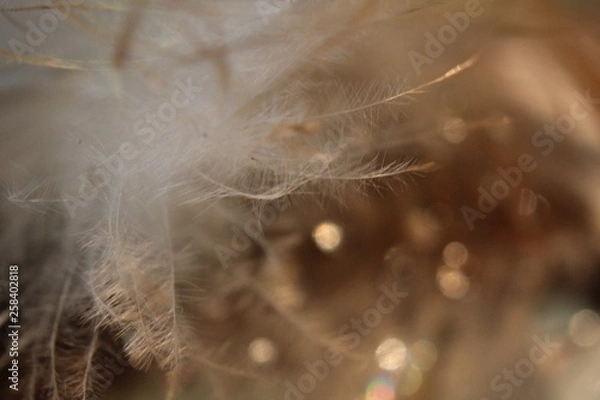 Fototapeta abstract background