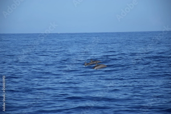 Fototapeta La Réunion