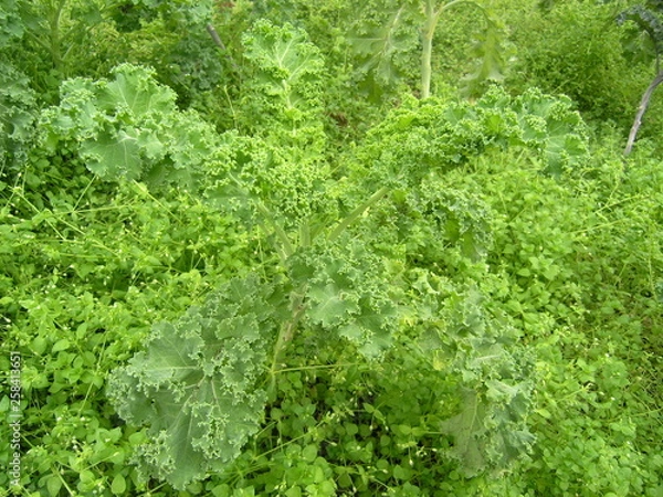 Obraz OLYMPUS DIGITAL CAMERA