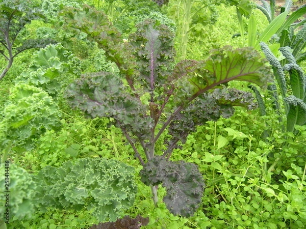 Obraz OLYMPUS DIGITAL CAMERA