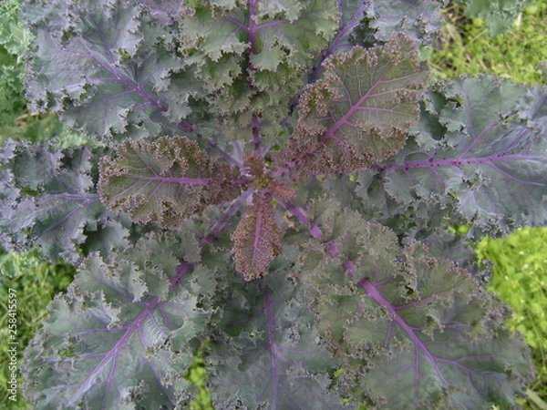 Obraz OLYMPUS DIGITAL CAMERA