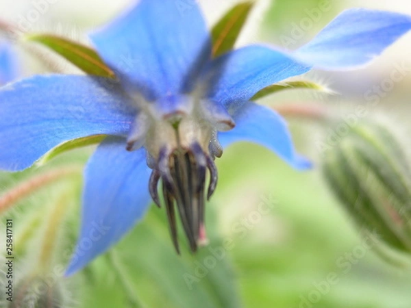 Obraz OLYMPUS DIGITAL CAMERA