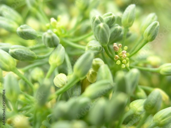 Obraz OLYMPUS DIGITAL CAMERA