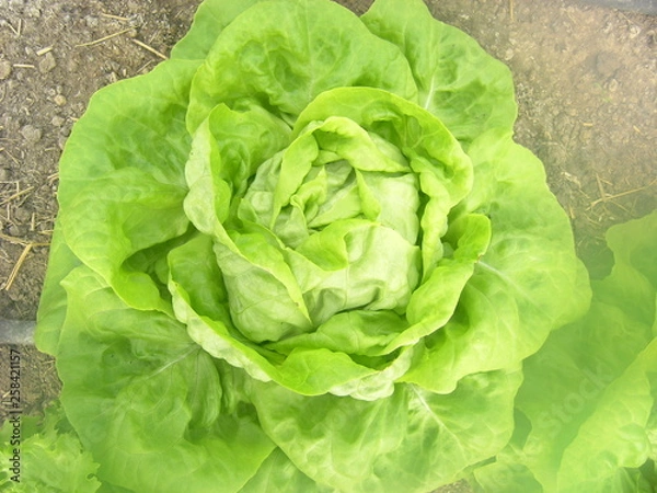 Obraz OLYMPUS DIGITAL CAMERA