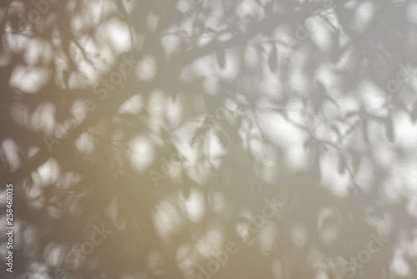 Fototapeta Abstract shadow background of natural leaves tree