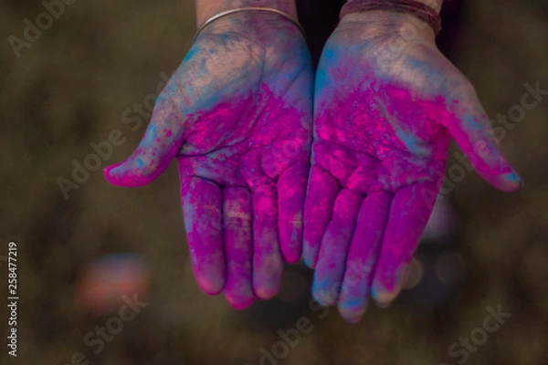 Obraz holi colour hands
