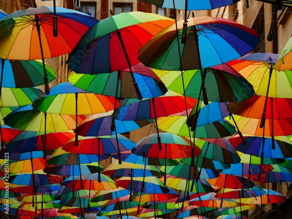 Fototapeta Regenschirme in einer Straße in Bukarest